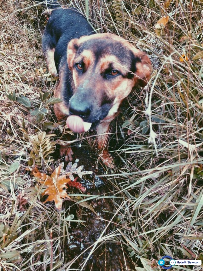 10155001_10152032307471615_3361138339982364508_n