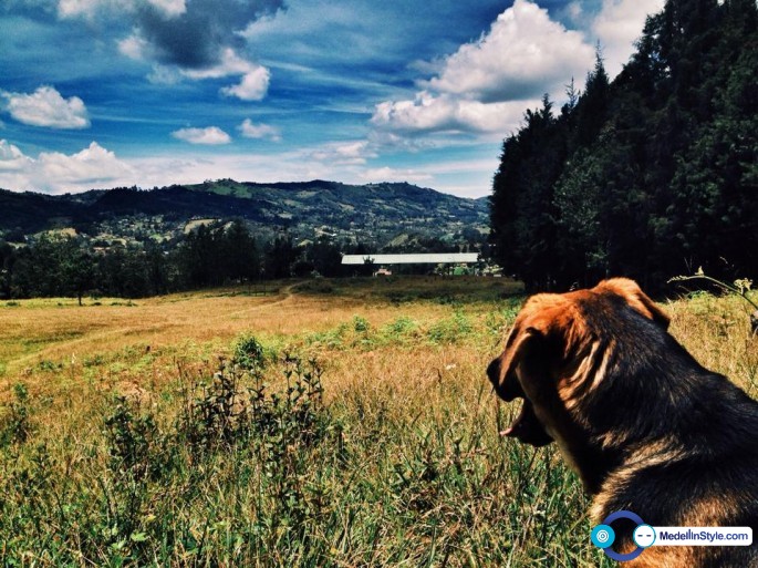 10320509_10152032227391615_1835683033645477485_n (1)