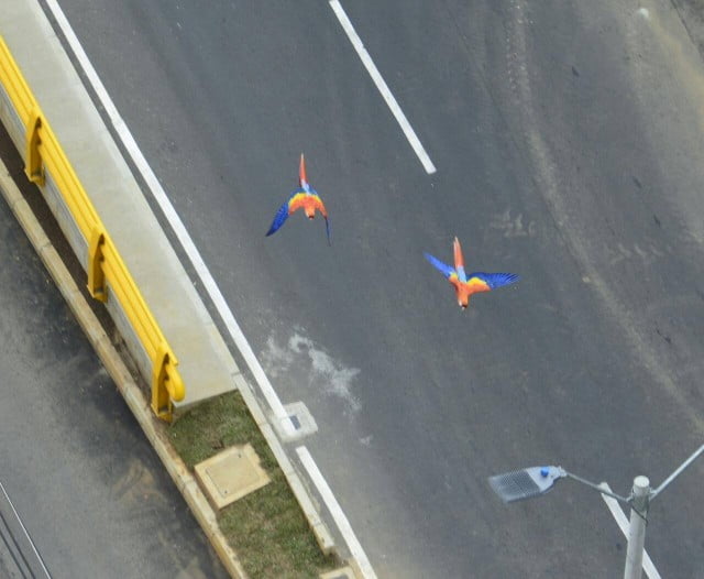 11221305_910848488973918_7497864426176900240_o