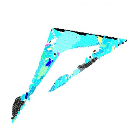 1233629_10151562480071615_294605048_n