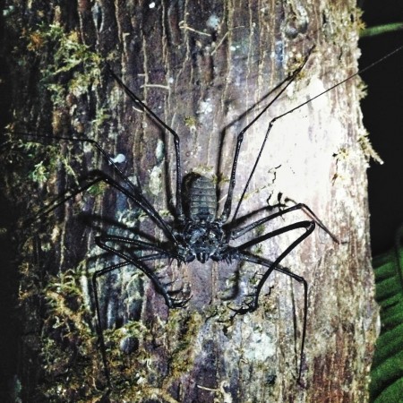 1234464_10151596512186615_603592331_n