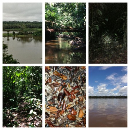 1238245_10151596511266615_1079462487_n