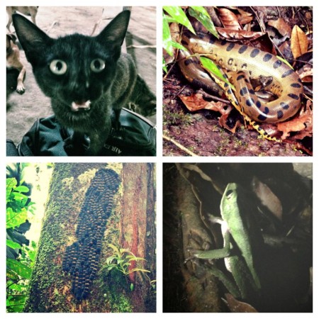 1238901_10151596511081615_81018702_n