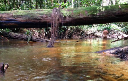 1271137_10151592668056615_286378150_o