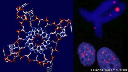 130121115029_adn_helice_cuadruple_464x261_jprodriguezyg.biffi