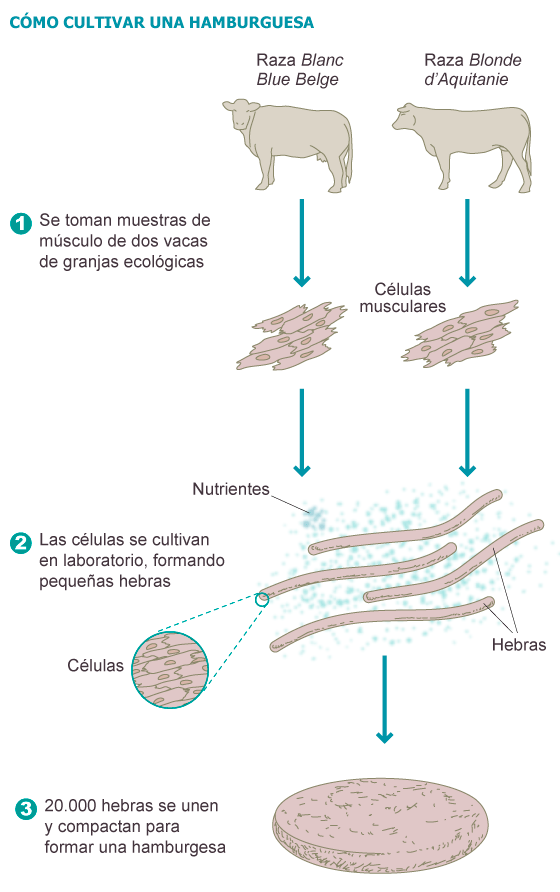 1375702814_124310_1375723627_sumario_normal