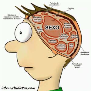 Diez claves para entender cómo funciona el cerebro masculino