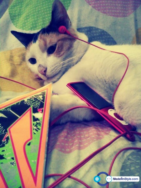 1912485_10152208287114140_1102297488_n