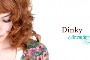 dinkyamenikcover