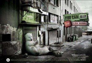 cambio-climatico-oso-polar1 (1)