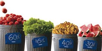  La industria de los alimentos es una mafia criminal