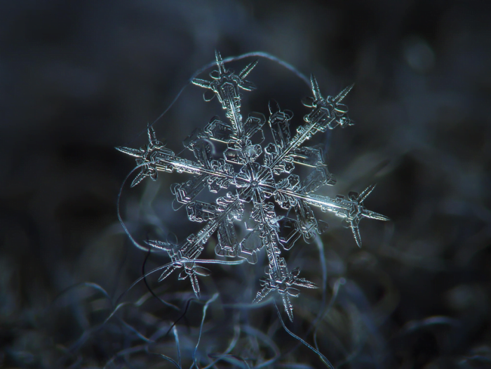 Spectacular Snowflakes From a Close-Up View
