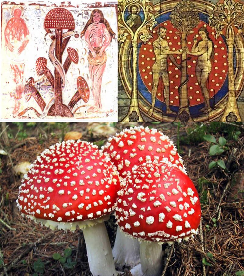 503b949c4cb02_chapelle_photo24