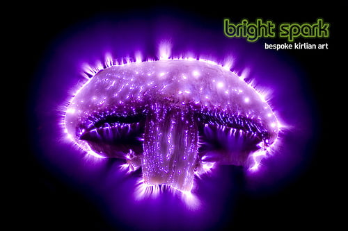 5704694300_59c401bbd3