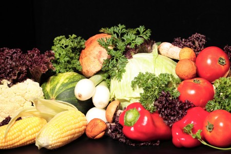 Alimentos-Transgenicos23