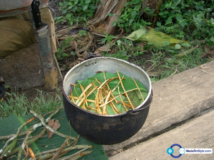 Ayahuasca_prep