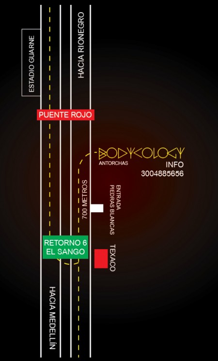 BODYMAP