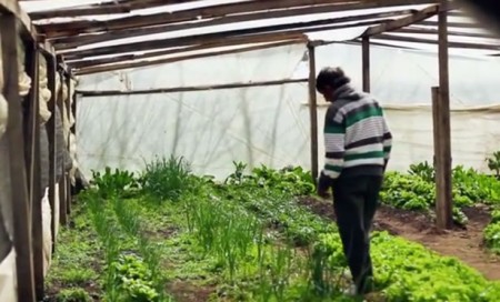 Bitcoin-Liberating-Organic-Farmers