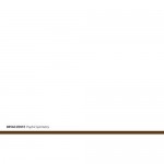 Bryan Zentz – Psychic Symmetry