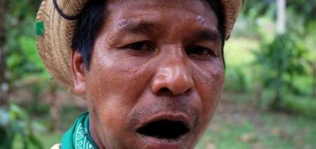 DSC_3686-Custom-521x246