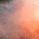 Ghost_Culture_2013_600