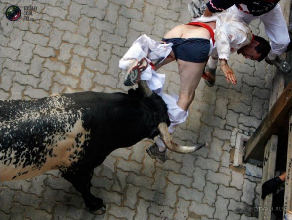 Быки атакуют (24 фото)