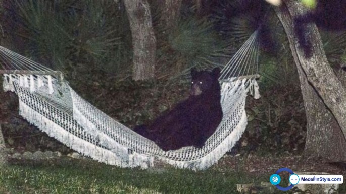 HT_bear_hammock_daytona_beach_rafael_torres_1_jt_140531_16x9_992