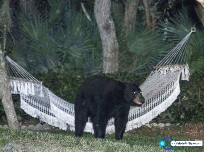 HT_bear_hammock_daytona_beach_rafael_torres_5_jt_140531_4x3_992
