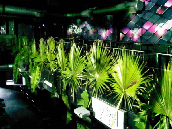 IMG00419-20110806-1426