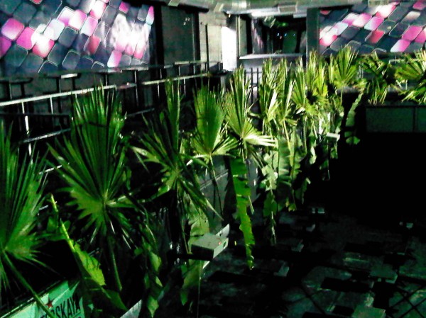 IMG00420-20110806-1430