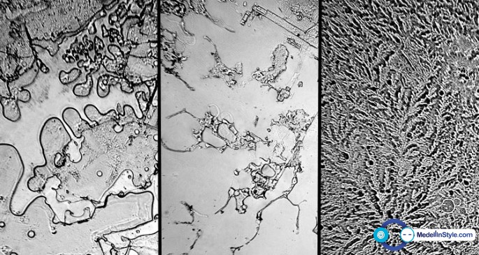 Rose-Lynn-Fisher_topography-of-tears_FullyM_004