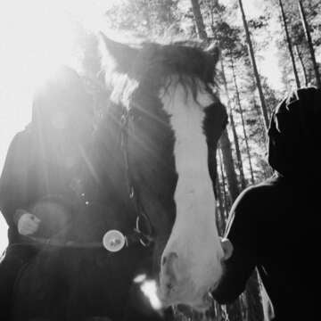 SHXCXCHCXSH &#8211; Linear S Decoded LP