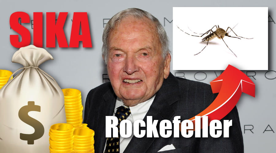 Sika_Rockefeller_9aacb0ea56a868e8993fa5bd4151fa8e