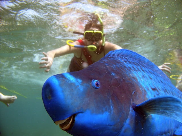 Bizzare Animal Creatures That Actually Exist