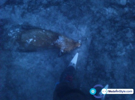 article-2545364-1AECC3FA00000578-107_634x471