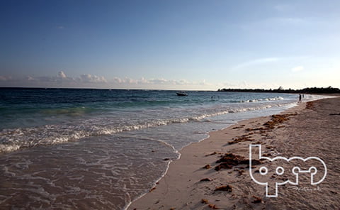 beach