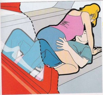 kamasutra para follar en el coche
