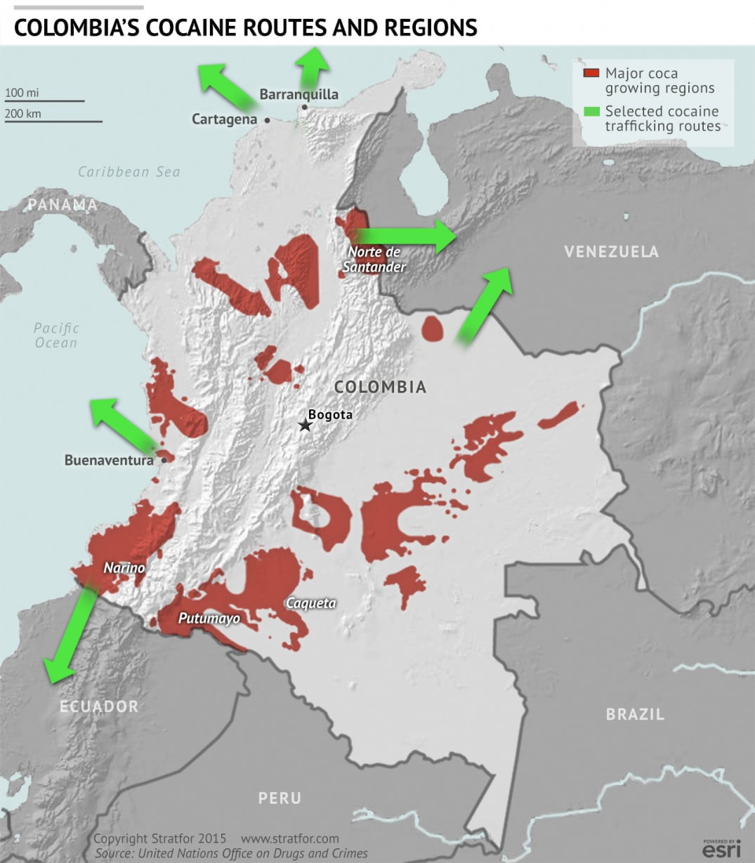 colombia_coca_2