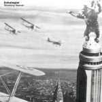 echologist_storminglp_600