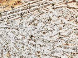 Esa minería ilegal que acaba ríos y tierras de Antioquia