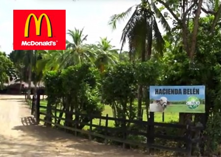 finca
