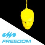 freedomremix