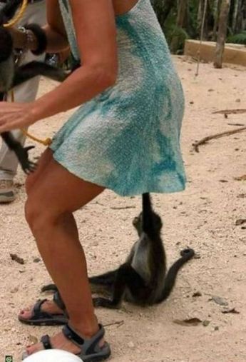 funny-girls-gone-wild-10