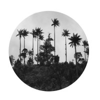 gala_001