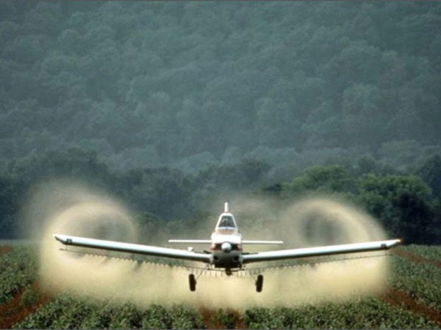 glifosato.jpg_35960795