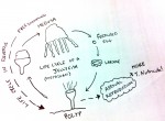 life-cycle2