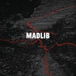 madlib1-5.21.2013-500x500