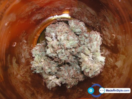 mota2