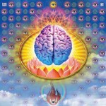psic-brain1