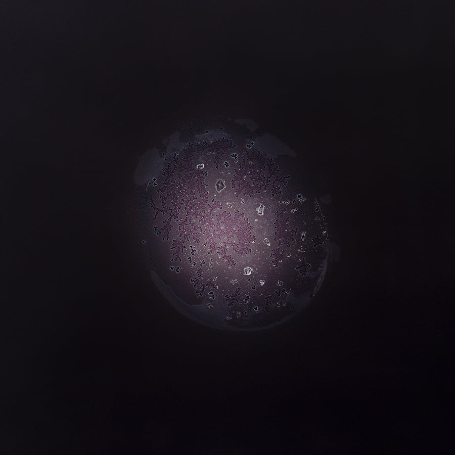 All You Can Feel: Images of Recreational Drugs Exposed to Film Negatives by Sarah Schoenfeld macro drugs 